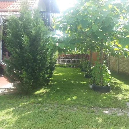 Apartment In 38456 *